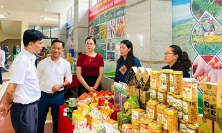 Khai thác lợi thế phát triển sản phẩm OCOP